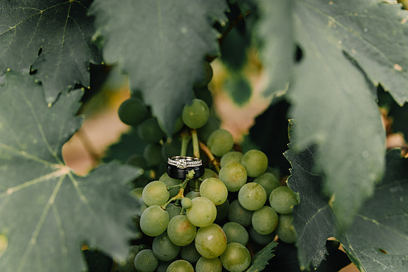 Dylan-Caitlin-Aurora-Colony-Winery-Wedding-2023-Oregon-39