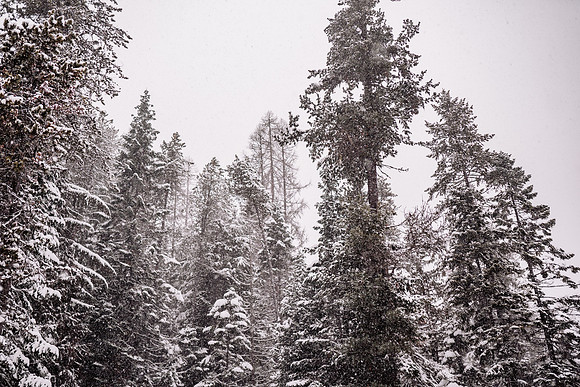 Tyler-Brittani-Lake-Priest-Idaho-Winter-Snow-Wedding-2021-03228