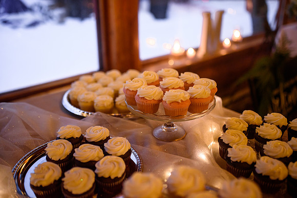 Tyler-Brittani-Lake-Priest-Idaho-Winter-Snow-Wedding-2021-4651