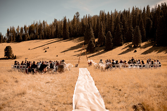 Matt-Shelby-Greer-Big-Lake-Arizona-Wedding-Pictures-3238