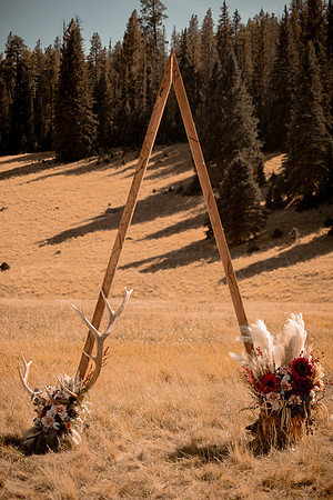 Matt-Shelby-Greer-Big-Lake-Arizona-Wedding-Pictures-0902