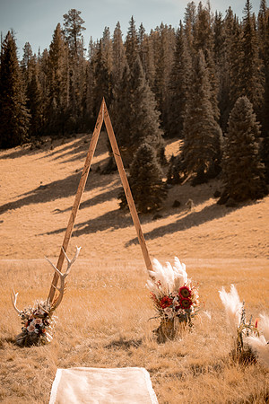 Matt-Shelby-Greer-Big-Lake-Arizona-Wedding-Pictures-0921