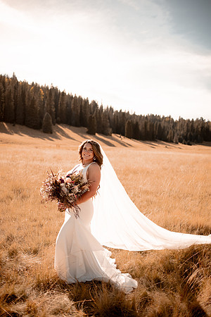 Matt-Shelby-Greer-Big-Lake-Arizona-Wedding-Pictures-3534