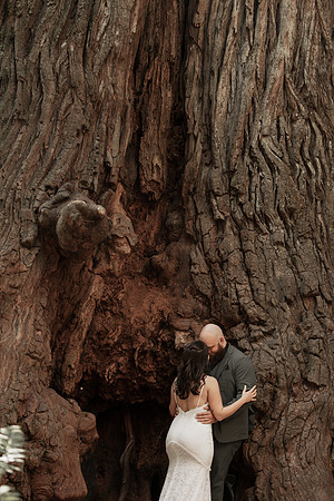 Gray-Ericka-Brookings-elopement-102