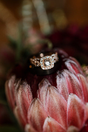 Tyler-Riley-Gold-Beach-Wedding-Photos-5273-5394