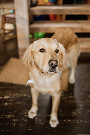 Tyler-Riley-Gold-Beach-Wedding-Photos-5273-5530