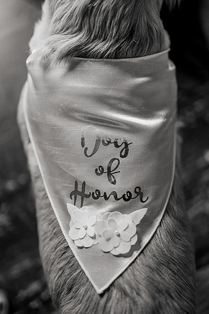 Tyler-Riley-Gold-Beach-Wedding-Photos-5273-5531