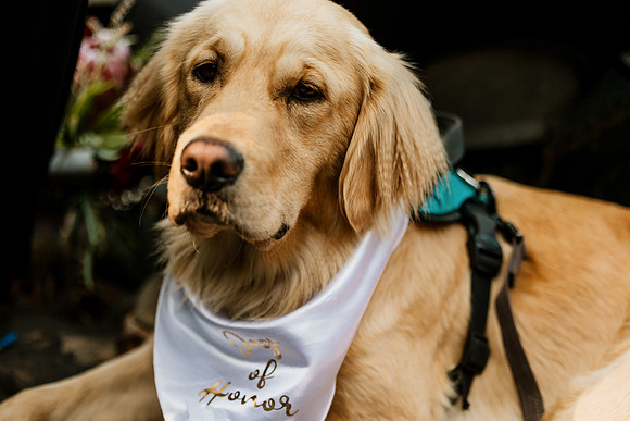 Tyler-Riley-Gold-Beach-Wedding-Photos-5273-7878