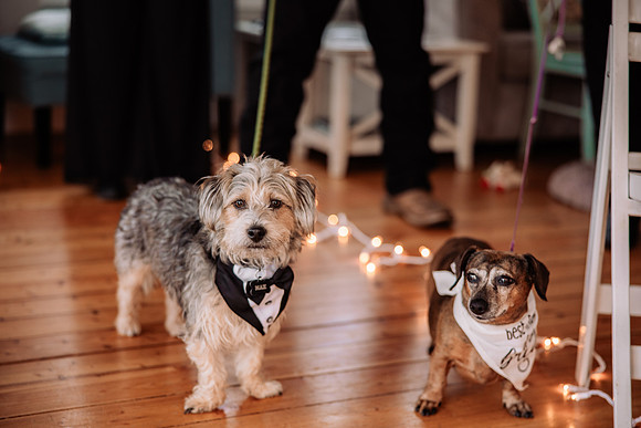 chad-emily-lincoln-city-oregon-elopement-proposal-rock-photos (14 of 104)