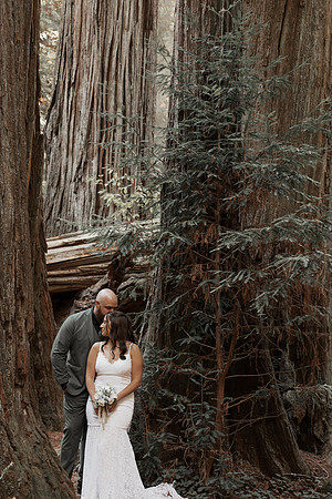 Gray-Ericka-Brookings-elopement-145