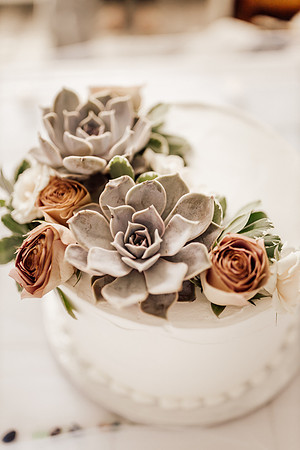 Jordan-Lainey-Roads-End-lincoln-City-oregon-airbnb-Elopement-photos-15