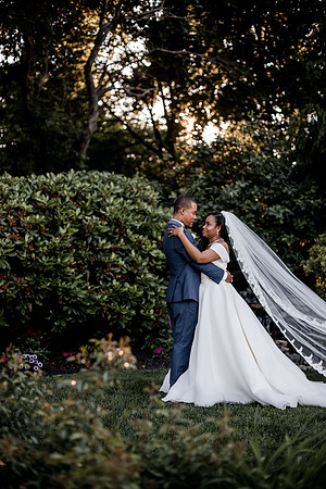 untitled (98 of 195)