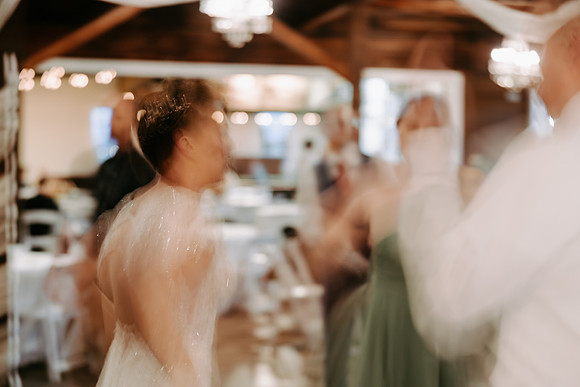 Kern-Anina--Wedding-Photos- (261 of 373)