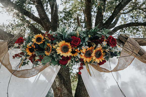 untitled (482 of 1807)