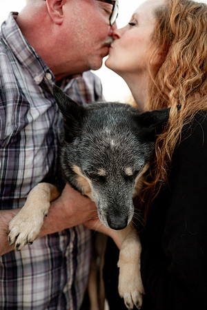 Sookie-Cricket-Photo-Session-Fogarty-18
