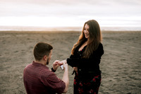 Drake & Kennedy Surprise Proposal Neskowin OREGON