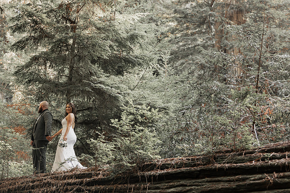 Gray-Ericka-Brookings-elopement-154