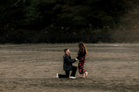 Drake & Kennedy Surprise Proposal Neskowin OREGON