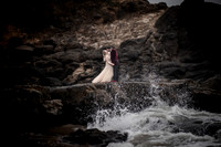 Spencer-Brandy-Fishing-Rock-State-Park-Depoe-Bay-Oregon-Elopement- Photos-