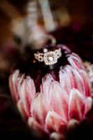 Tyler-Riley-Gold-Beach-Wedding-Photos-5394