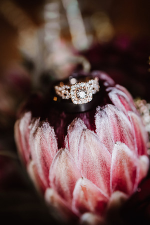 Tyler-Riley-Gold-Beach-Wedding-Photos-5394