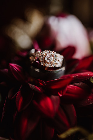 Tyler-Riley-Gold-Beach-Wedding-Photos-5393