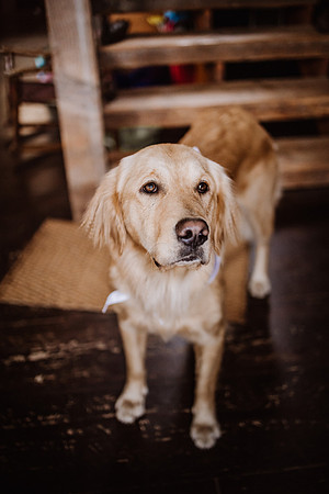Tyler-Riley-Gold-Beach-Wedding-Photos-5530