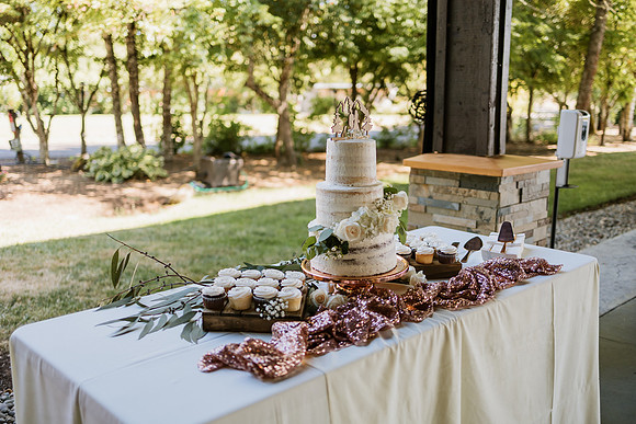 Romero-Kate-Water-Oasis-Newberg-Oregon-Wedding-Photos-6529