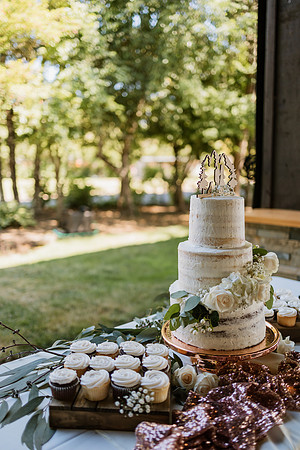 Romero-Kate-Water-Oasis-Newberg-Oregon-Wedding-Photos-6530