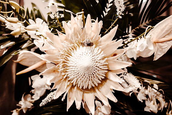 jack-talyn-Portland-wedding-easton-broad-9251