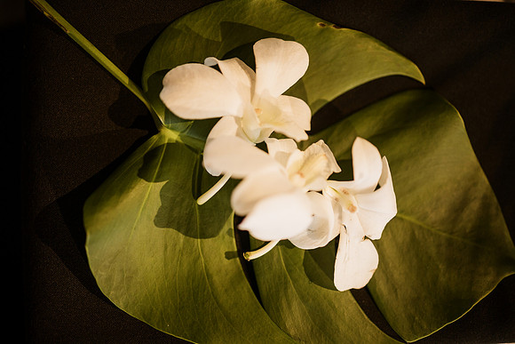 Jack-Talyn-Easton-Broad-Portland-Oregon-Wedding-5635-380