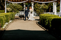 Romero-Kate-Water-Oasis-Newberg-Oregon-Wedding-Photos-9656