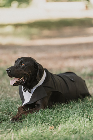 Derrick-Kenzie-Navarra-Gardens-Willamina-Oregon-Wedding-Photos (268 of 436)