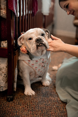 Jeff-Theresa-Brown-Wedding-Photos-23