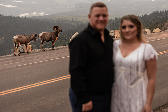 Jason-Tiffany-Glacier-National-Park-Montana-Elopement-149