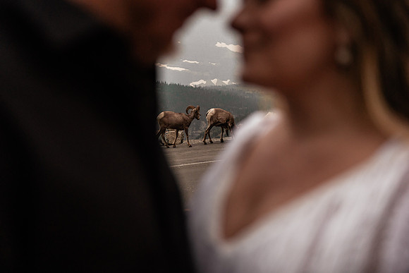 Jason-Tiffany-Glacier-National-Park-Montana-Elopement-150