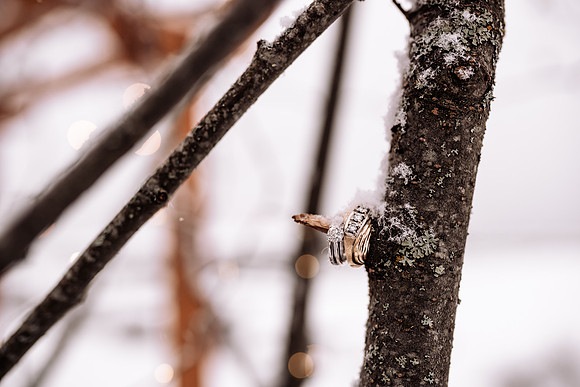 Tyler-Brittani-Lake-Priest-Idaho-Winter-Snow-Wedding-2021-03609