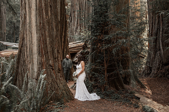 Gray-Ericka-Brookings-elopement-141