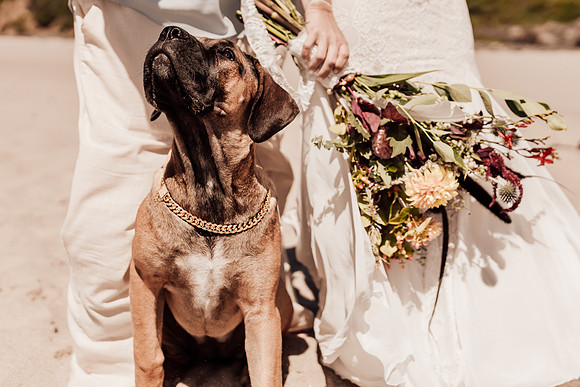 Ty-Sandy-lincoln-city-oregon-roads-end-elopement-photographer-9748