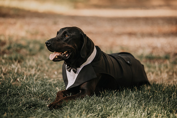 Derek-MacKenzie-Navarra-Gardens-Wedding-Oredon-Photos (35 of 177)