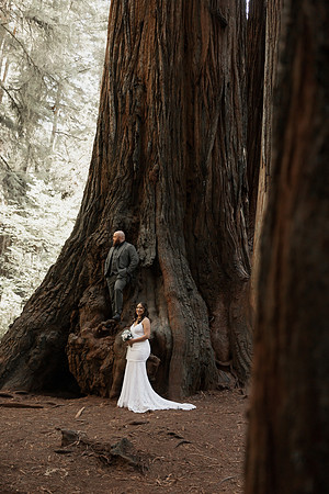 Gray-Ericka-Brookings-elopement-110