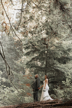 Gray-Ericka-Brookings-elopement-155