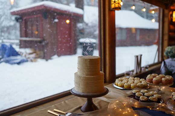 Tyler-Brittani-Lake-Priest-Idaho-Winter-Snow-Wedding-2021-04002