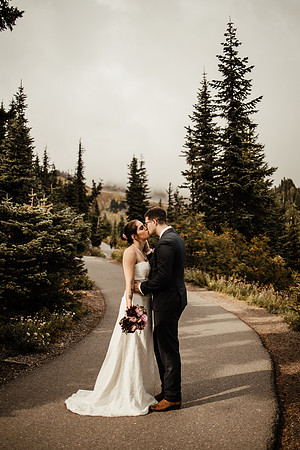 Matthew & Melissa Mount Rainier Washington 46