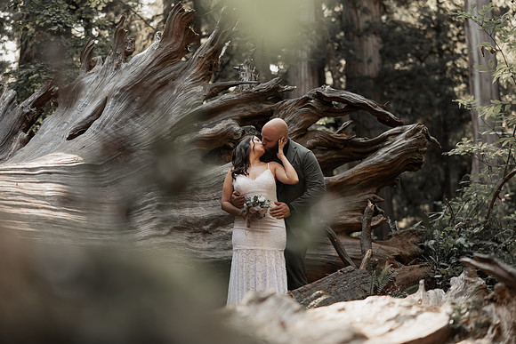 Gray-Ericka-Brookings-elopement-61