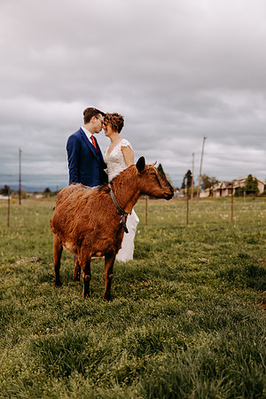 Kern-Anina--Wedding-Photos- (139 of 150)