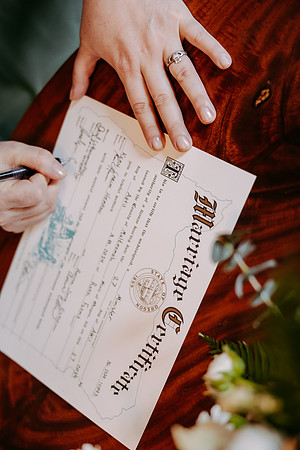 Kern-Anina--Wedding-Photos-ceremony (53 of 56)