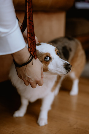 Chase-Beca-Kingston-House-Wedding-Photos-21