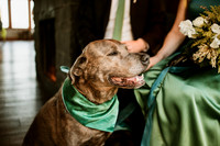 James-Sharon-Cape-Kiwanda-Oregon-Elopement- Photos-9173
