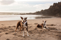 Jillian-Peter-Depoe-Bay-Oregon-Elopement-photos-1